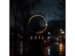 VEIL